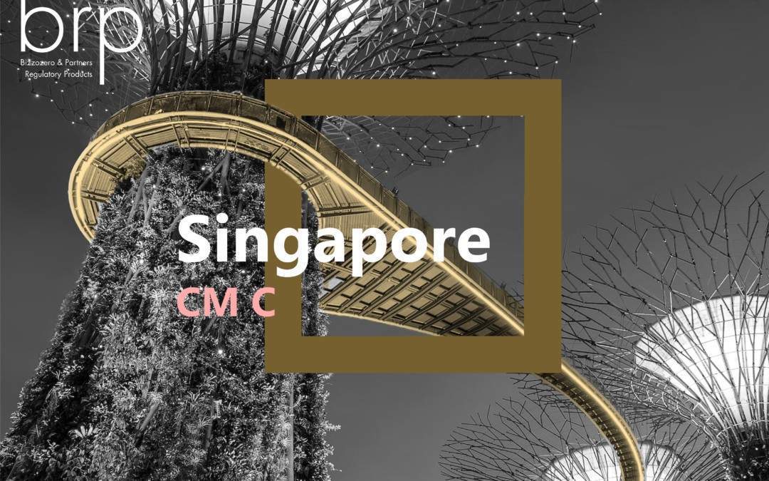Singapore – CM C – Update 2023