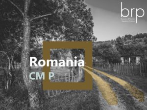 BRP SA - Romania - Petroșani CM P