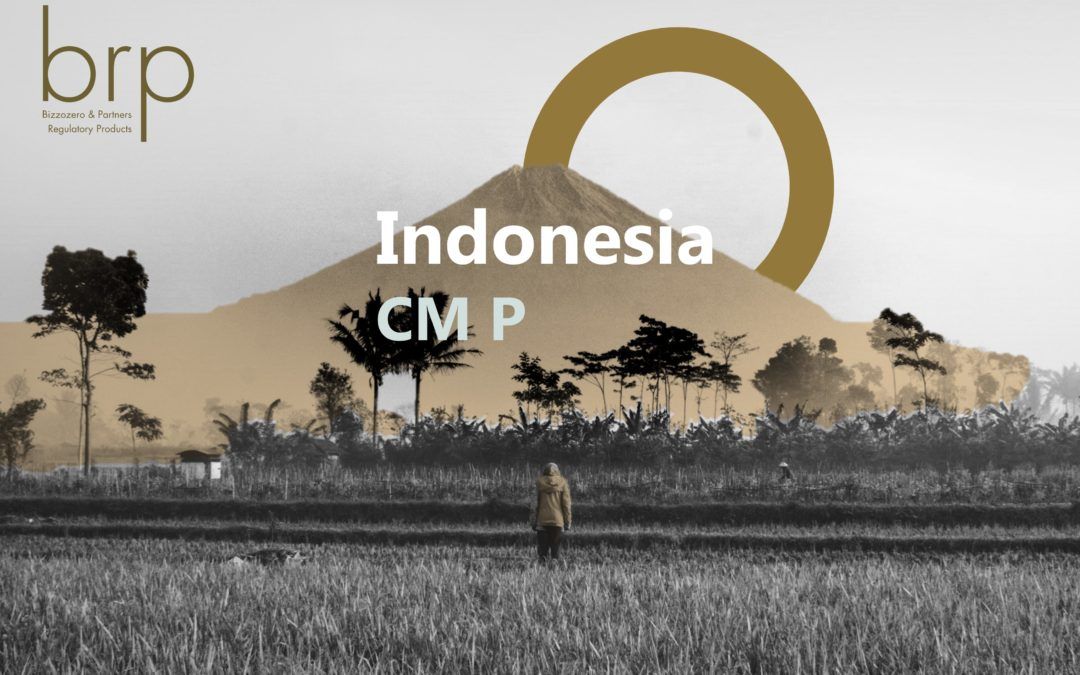 Indonesia – CM P