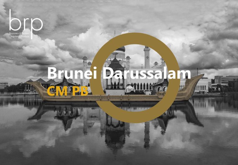 BRP SA - Brunei Darussalam CM PB