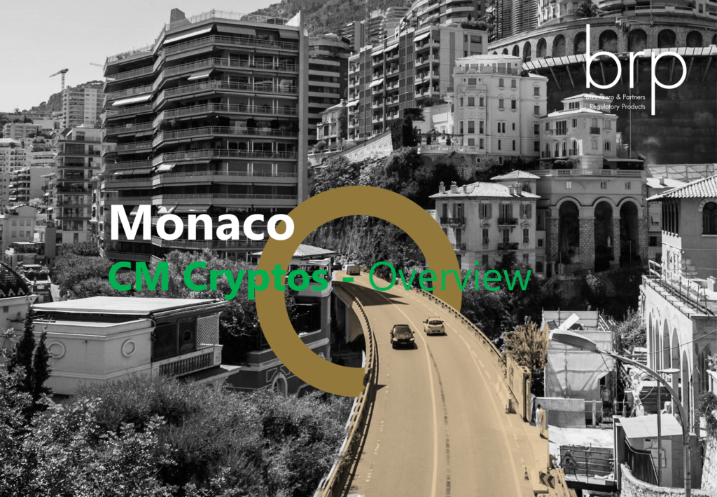 BRP SA - Monaco – CM CO