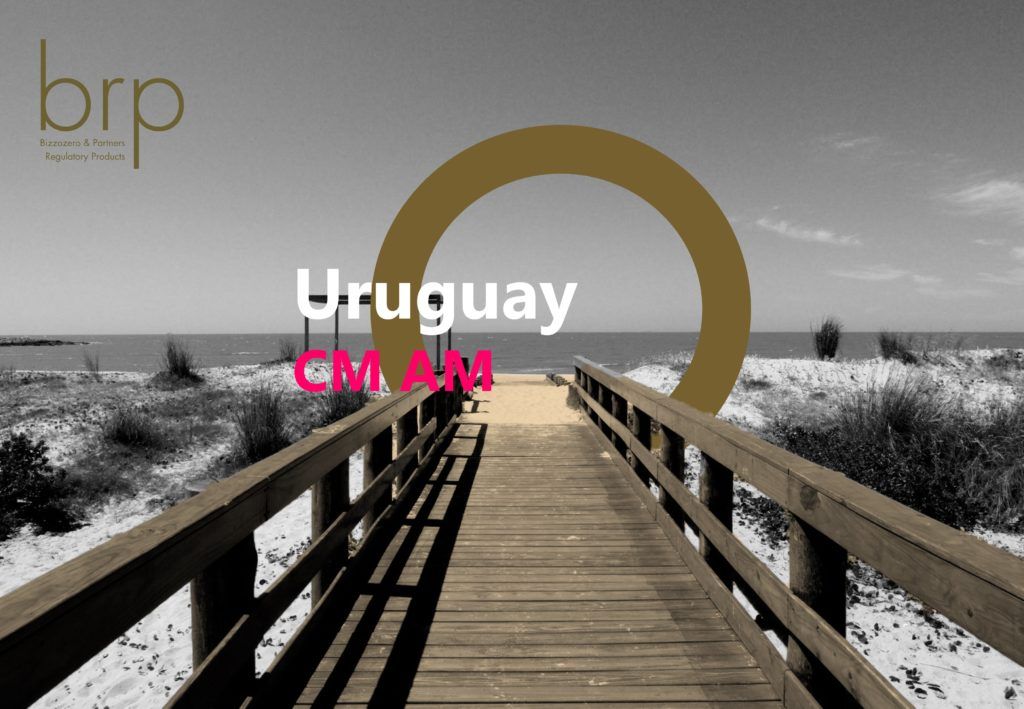 BRP SA - Uruguay CM AM