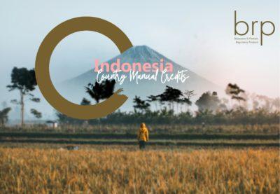 BRP SA - Indonesia CM C