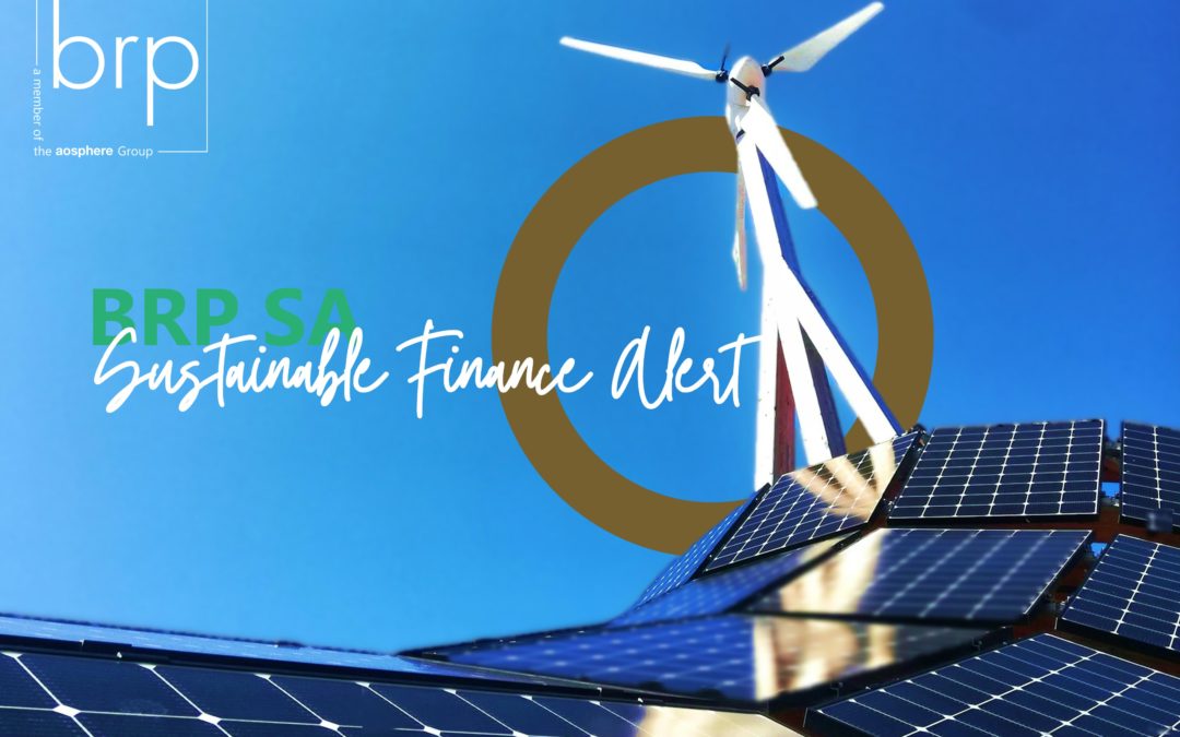 EU CSR and CSDDD Revision  – Sustainable Finance Alert